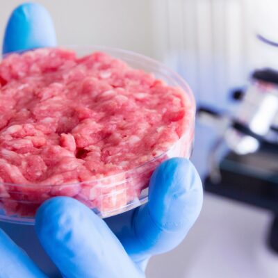 Carne coltivata: corporazioni, mogli e buoi dei paesi tuoi